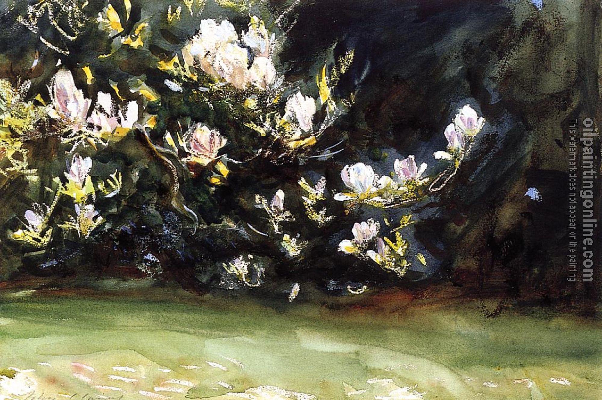 Sargent, John Singer - Magnolias